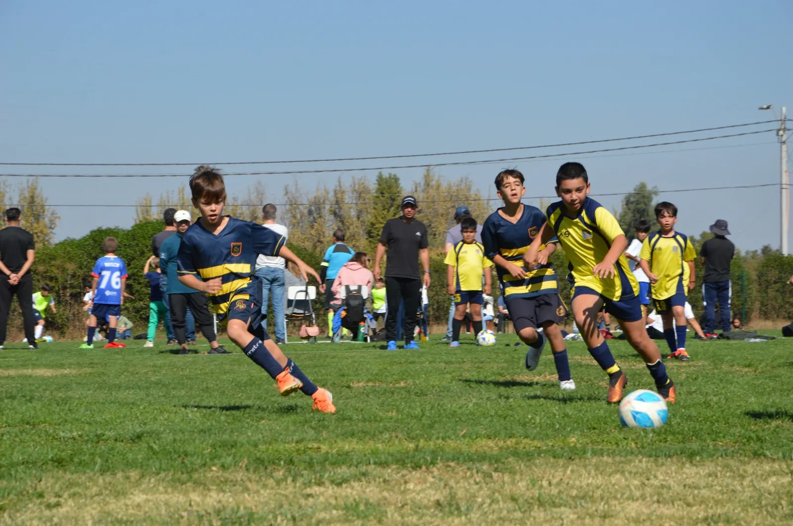 Actividad 6