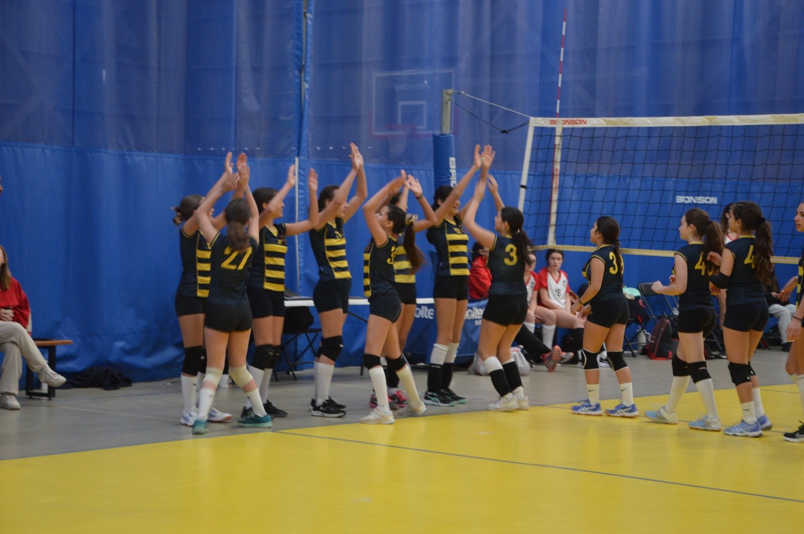 Actividad 7